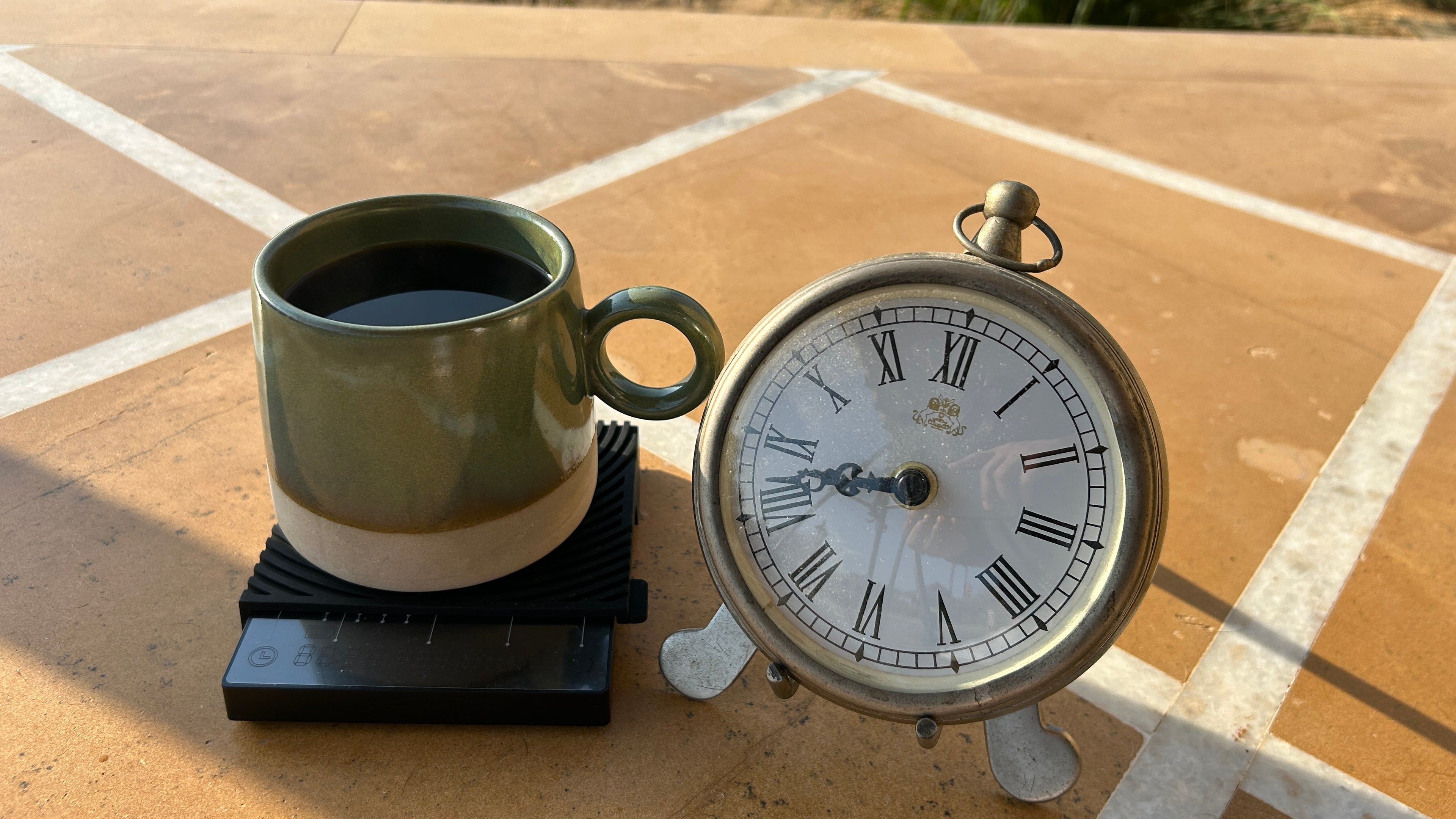 Coffee Sensory & Brewing Workshop