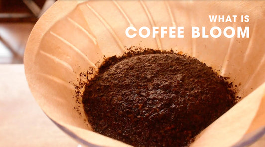 Coffee Bloom - Pour Over