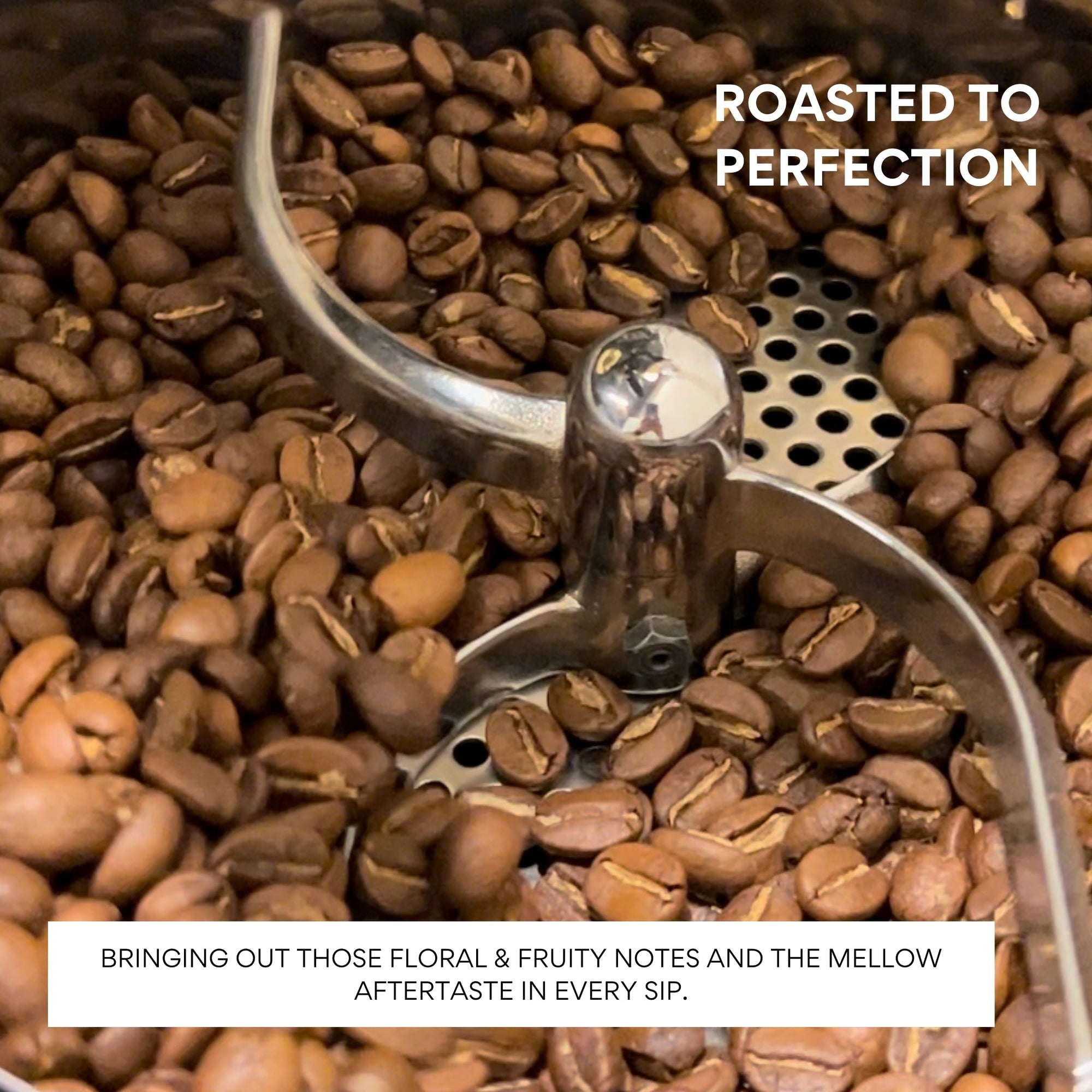 SENSE - CRAFT BLEND - NATURALS - 100% ARABICA