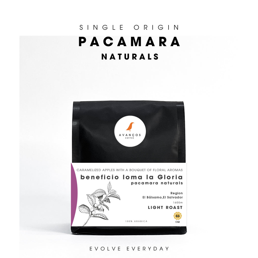 ANNUAL COFFEE SUBSCRIPTION PLAN
