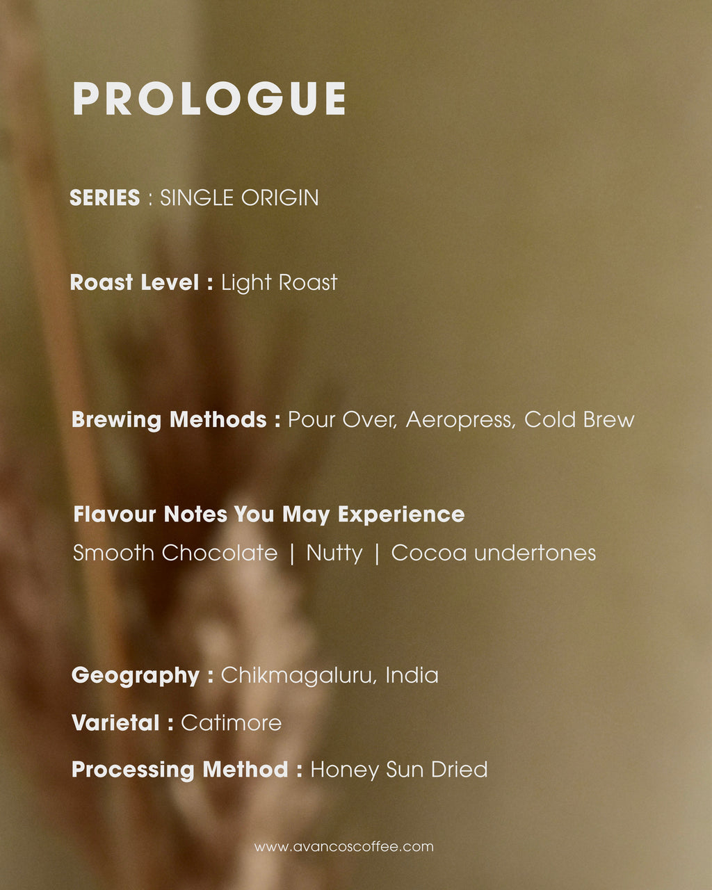 PROLOGUE - Chocolate, Nutty, & Cocoa - Honey Sun Dried - Light Roast