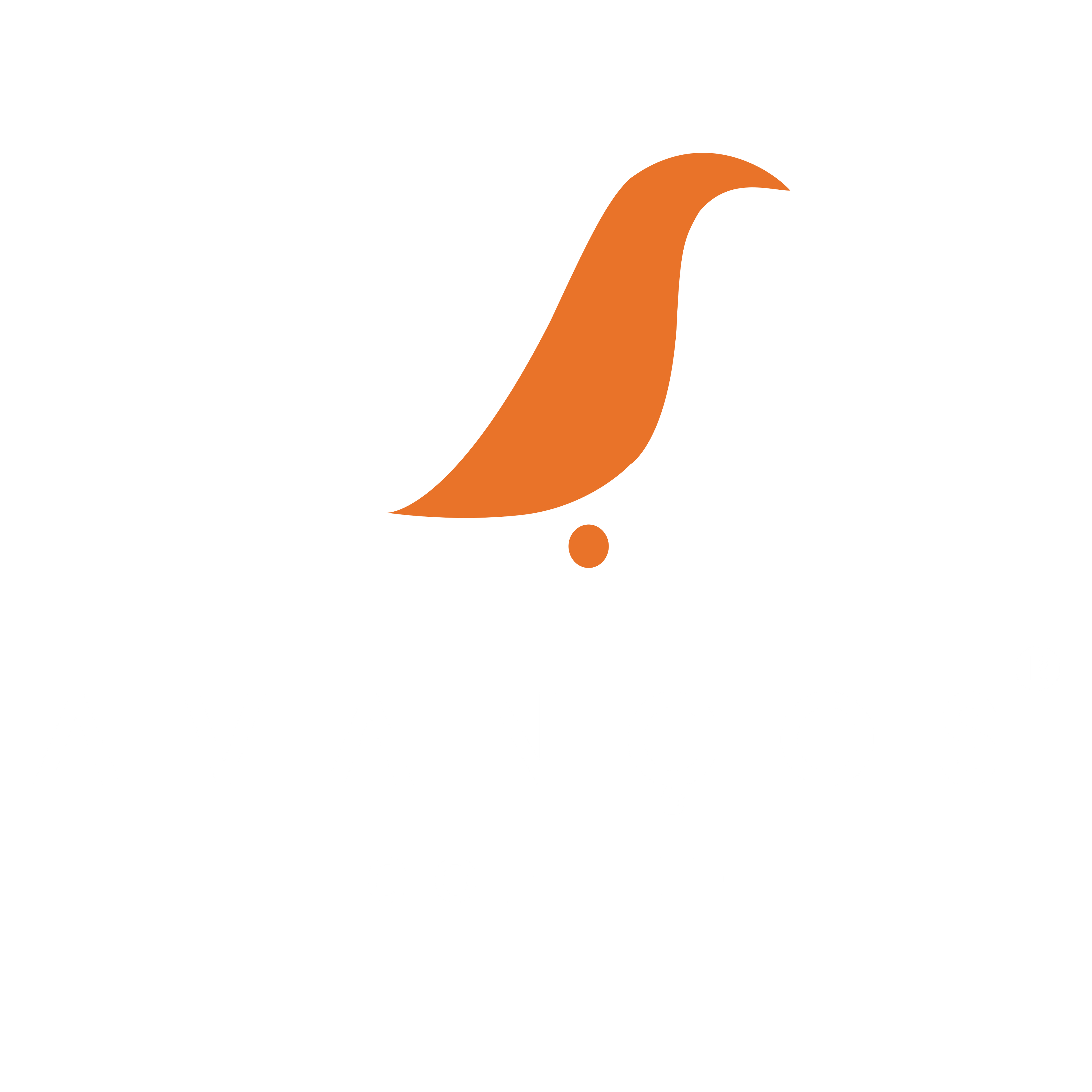 Avanços Coffee Co.