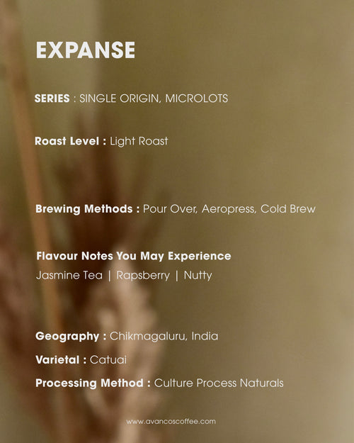 EXPANSE - Jasmine Tea & Rapsberry Notes - Culture Process Naturals - Light Roast