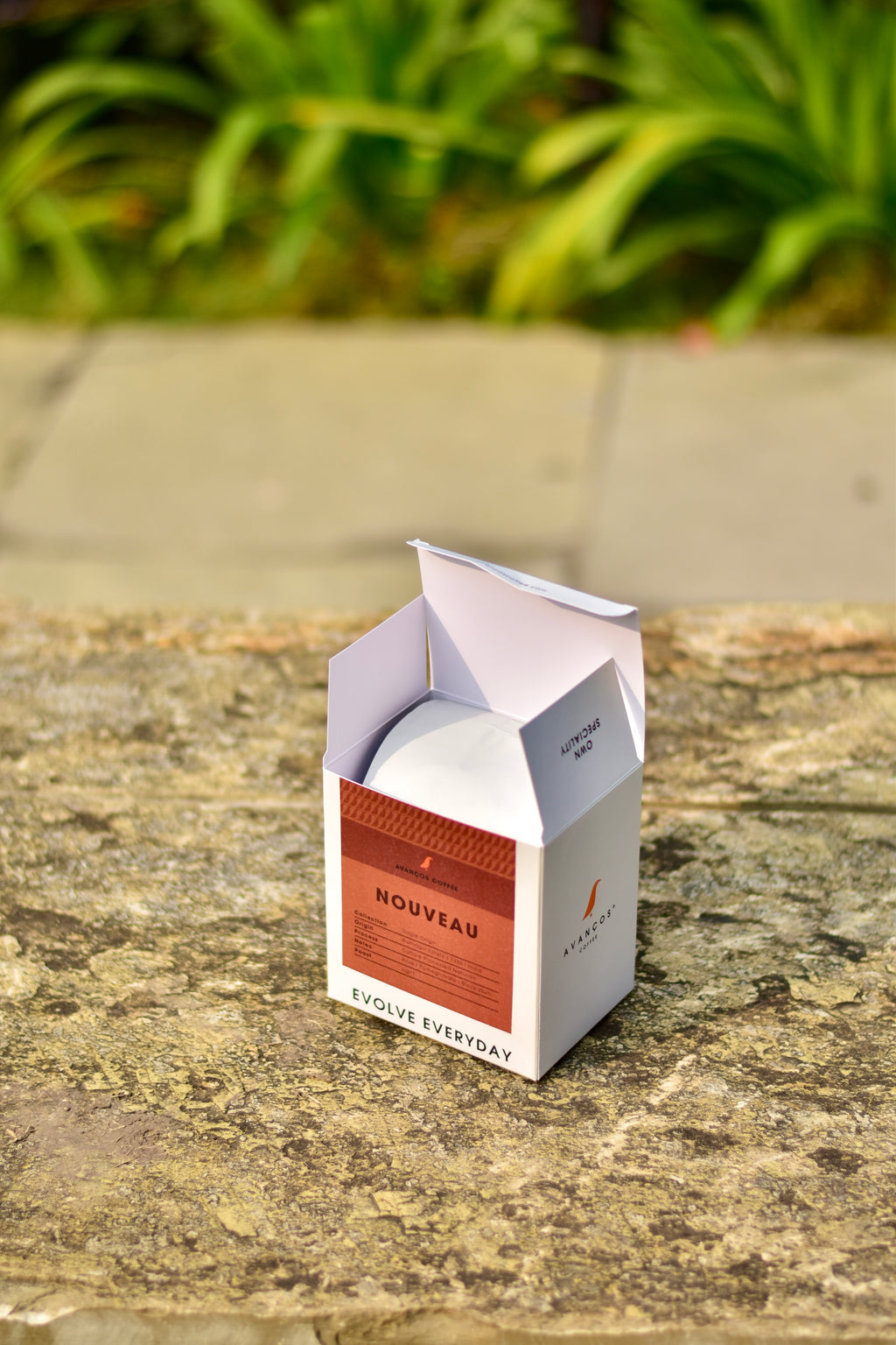 NOUVEAU - Rose & Pomegranate - Culture Process Naturals - Light Roast