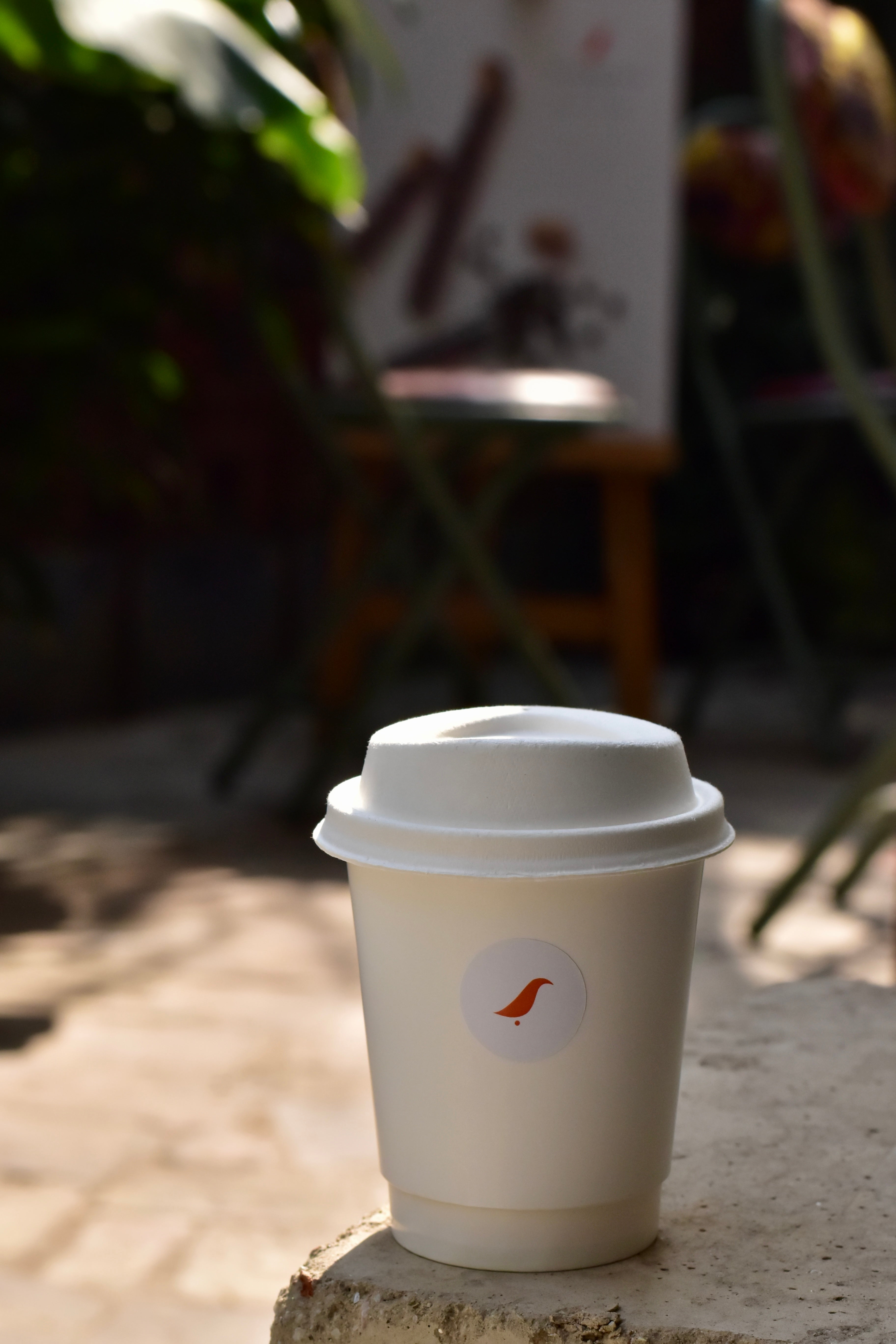 coffee cup places in garden