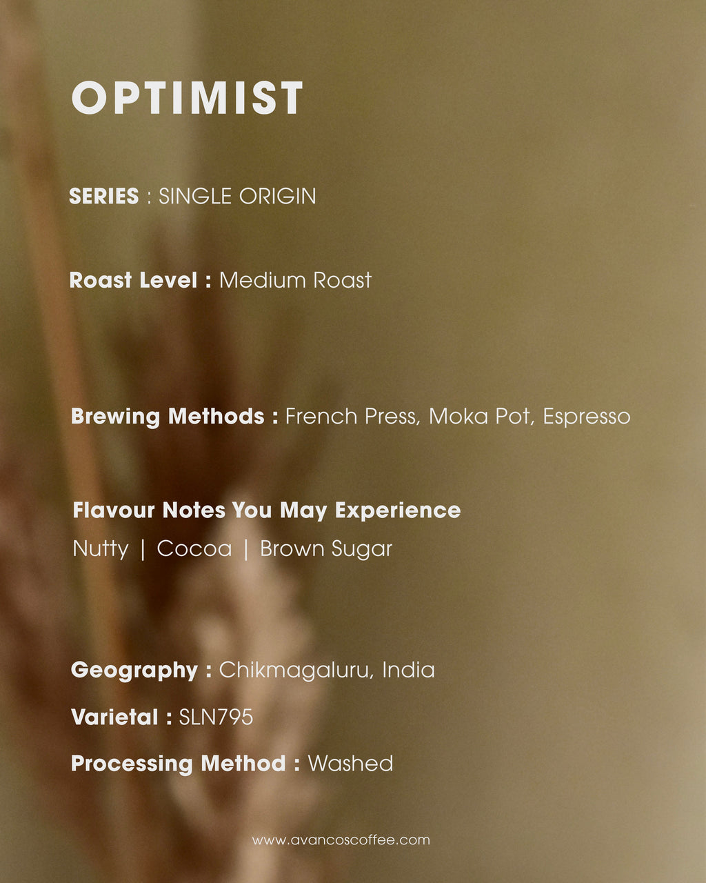 OPTIMIST - Nutty, Cocoa, Brown Sugar - Wash Processed - Medium Roast